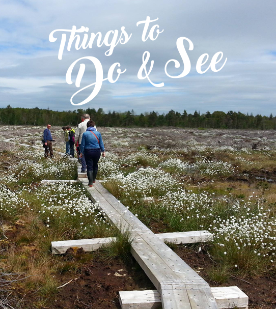 things to do and see